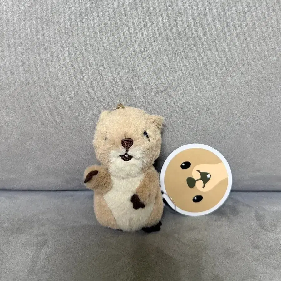 헬로우 프레리독 키링 인형