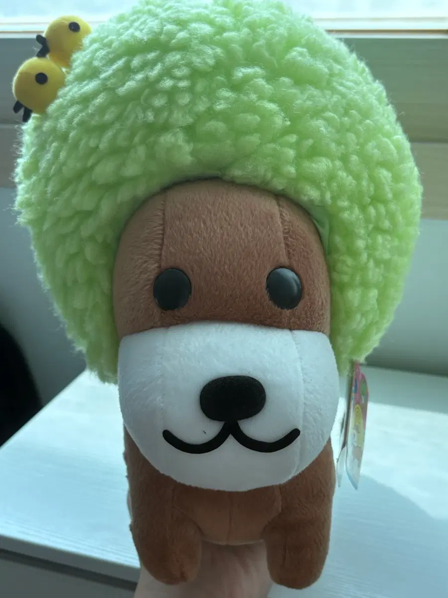 아프로켄 초록 대형인형