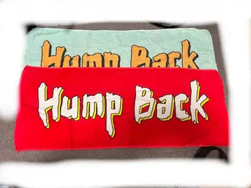 Hump Back 빨간색 스카이블루 타월 2장 세트