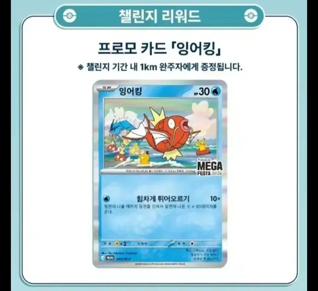 잉어킹 프로모 카드 2장