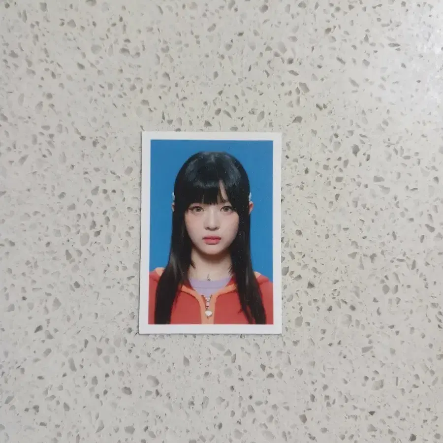 뉴진스 하니 증명사진 증사 시그 시즌그리팅