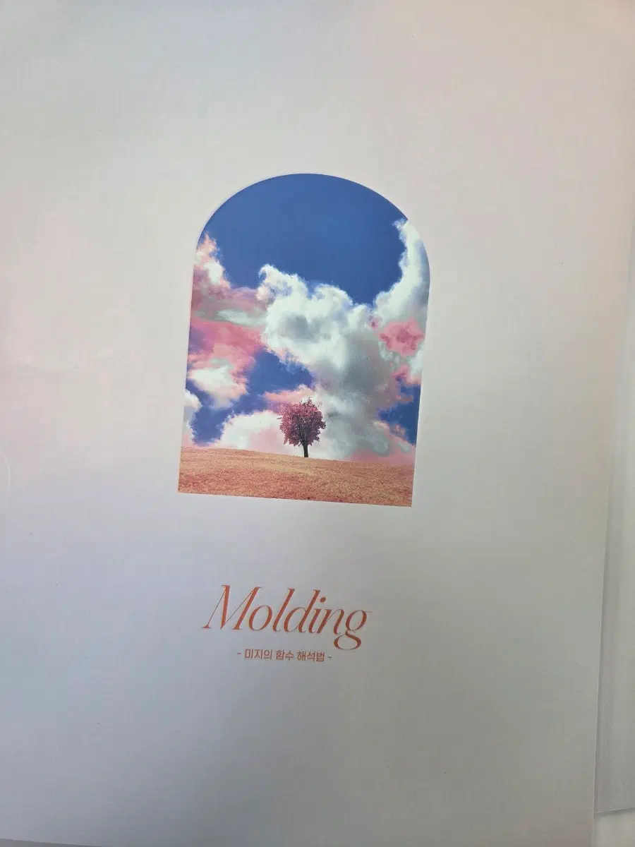 최지욱 몰딩