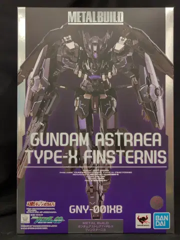 BANDAI SPIRITS METAL BUILD 건담 아스트레아 TYPE-X 핀 스타니스