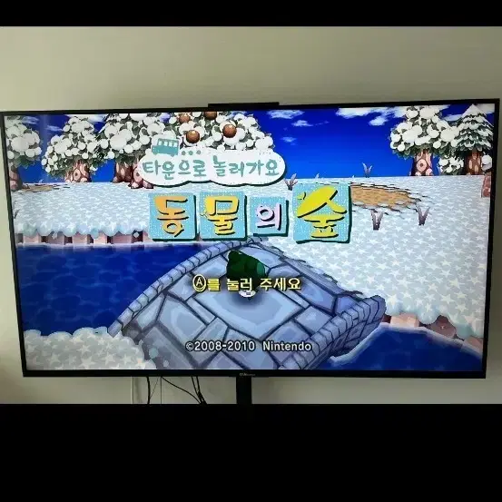 닌텐도 동물의숲 게임 타이틀