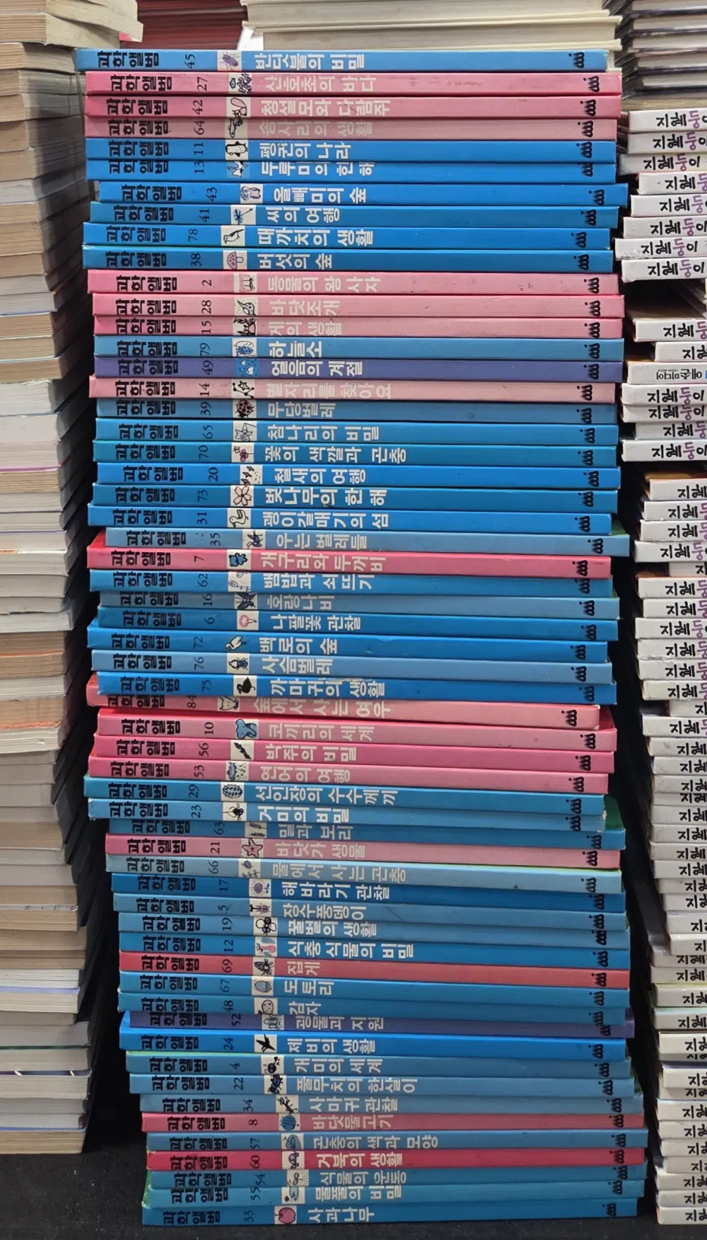 과학앨범 웅진 57권 세트 어란이책 중고책