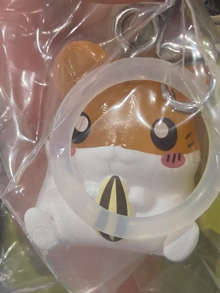 울트라 23 512gb 대여