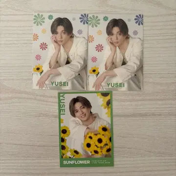 야기 유세이 SUNFLOWER 사진 카세트 시크릿
