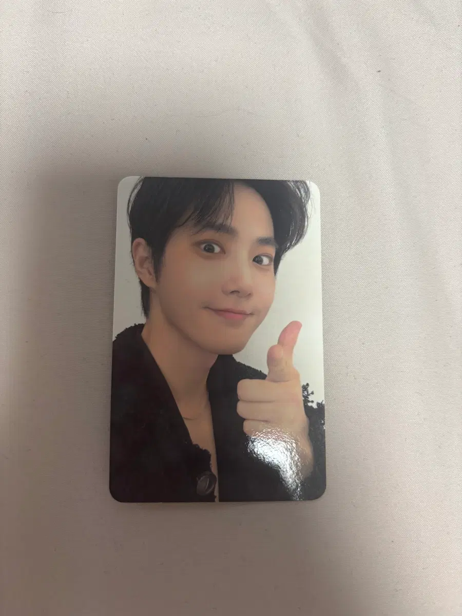 SUHOME 코트니 다이어리 포카 수호