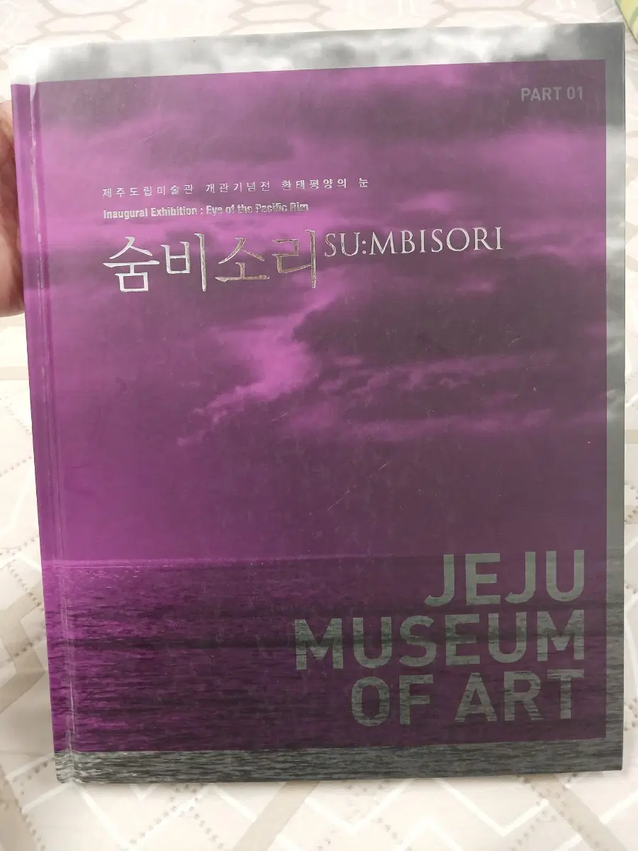 제주도립미술관 개관기념 특별전 숨비소리 도록 현대미술