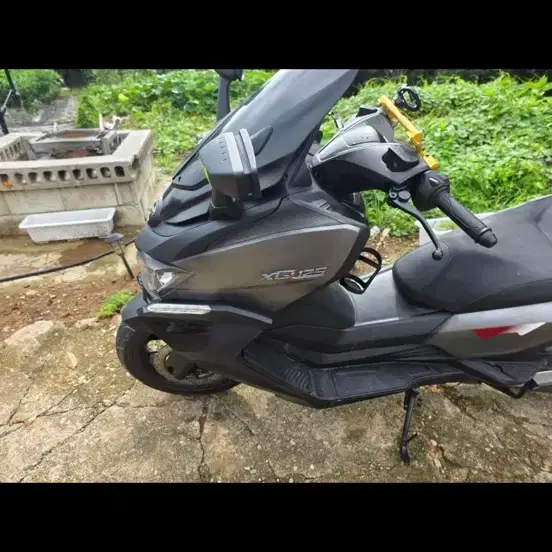 Xq125