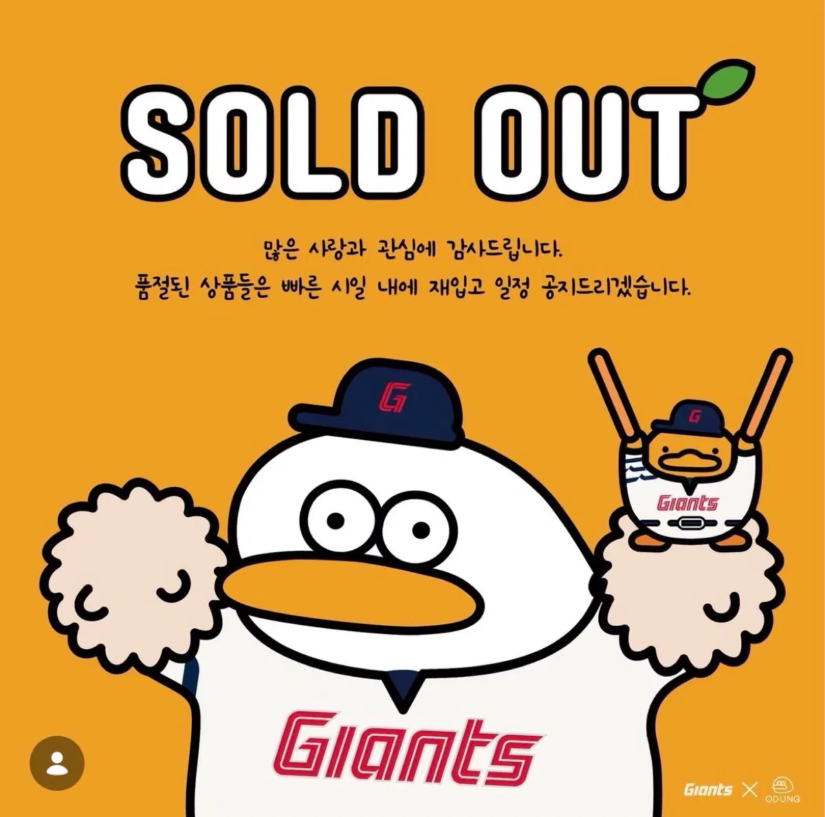 롯데 자이언츠 오둥이 유니폼 구해요