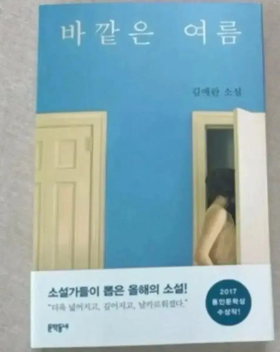 김애란 바깥은 여름 소설