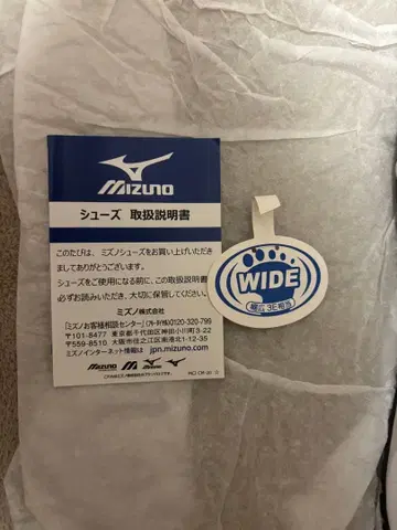 MIZUNO 신발 WIDE 30cm