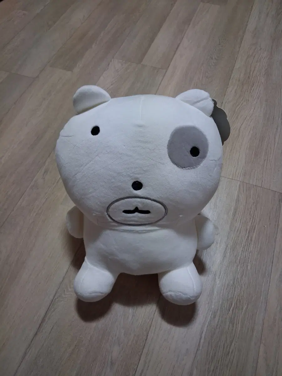 가나디 눈멍냥이 봉제인형(무료배송)