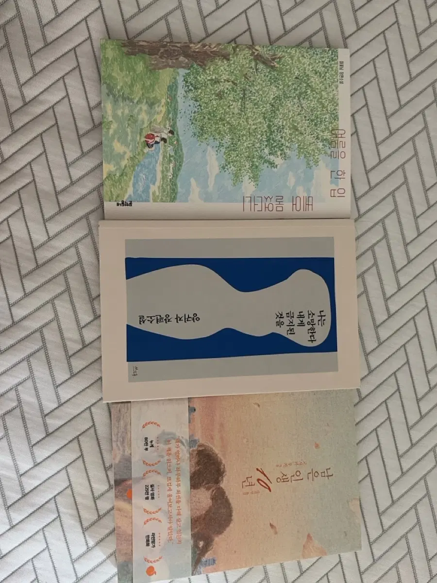 여름을 한 입 베어 물었더니, 나는 소망한다 내게 금지된 것을, 남은 인생 10년 도서 3권