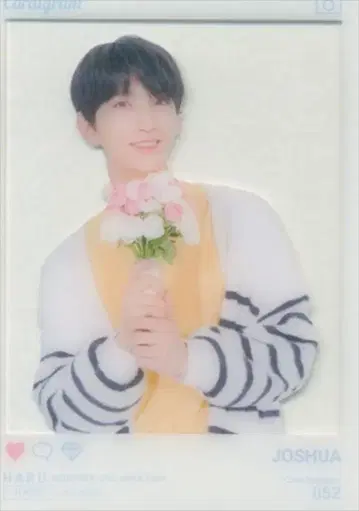 세븐틴 조슈아 2019 하루 52