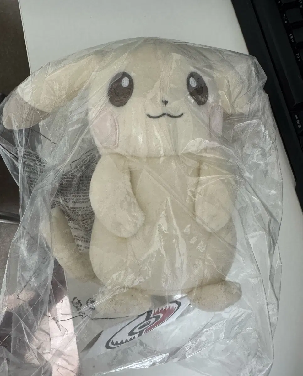창백카츄 정품인현
