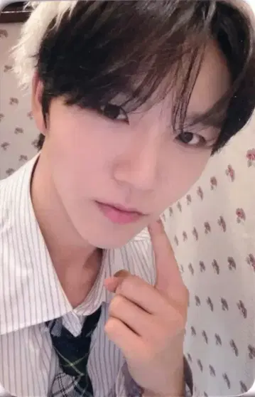 NCT WISH 뮤모 재희 WISHFUL