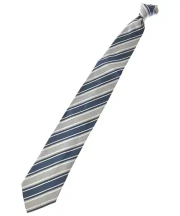 Ermenegildo Zegna 넥타이 남성용