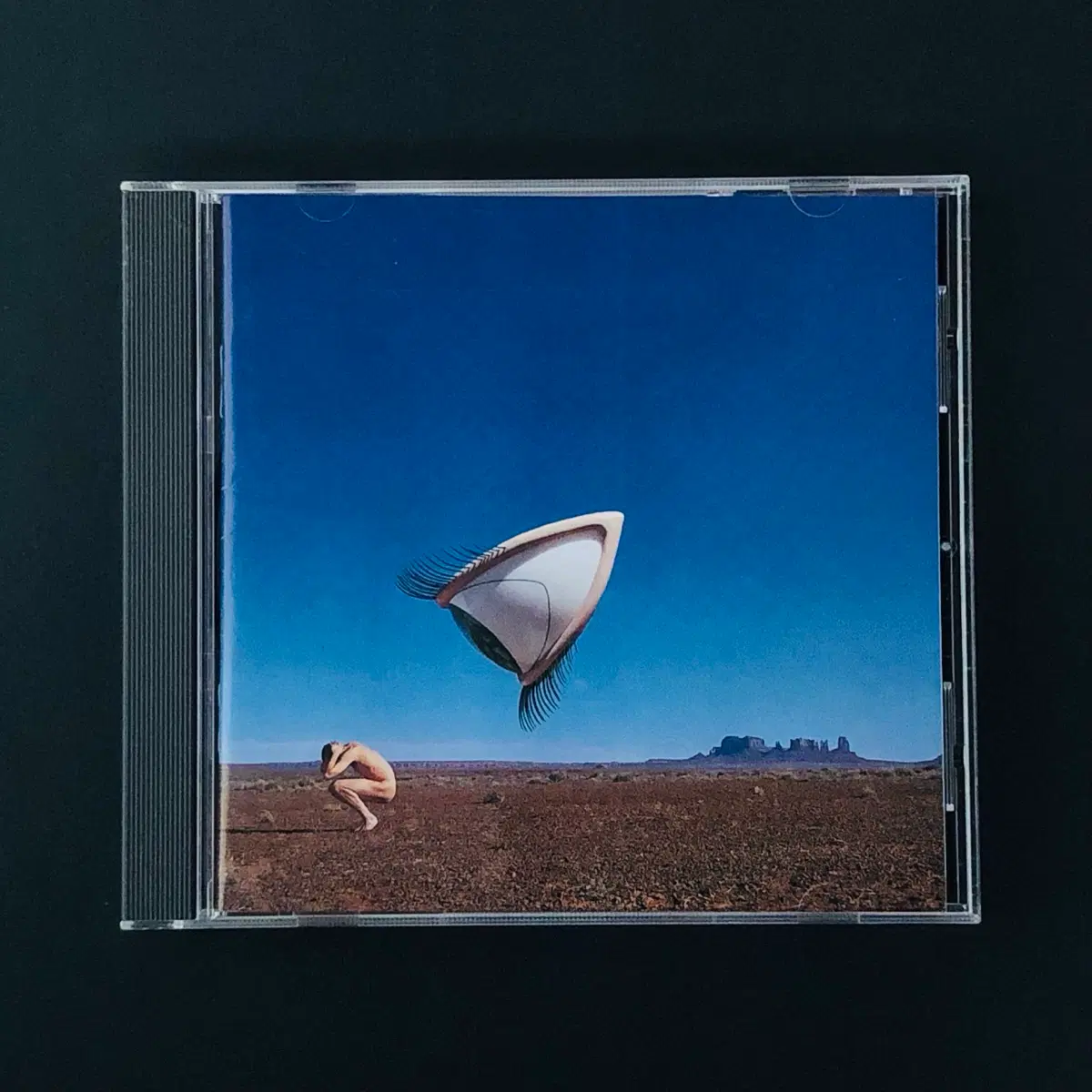 [CD중고] 크랜베리스 (The Cranberries) / Bury the Hatchet