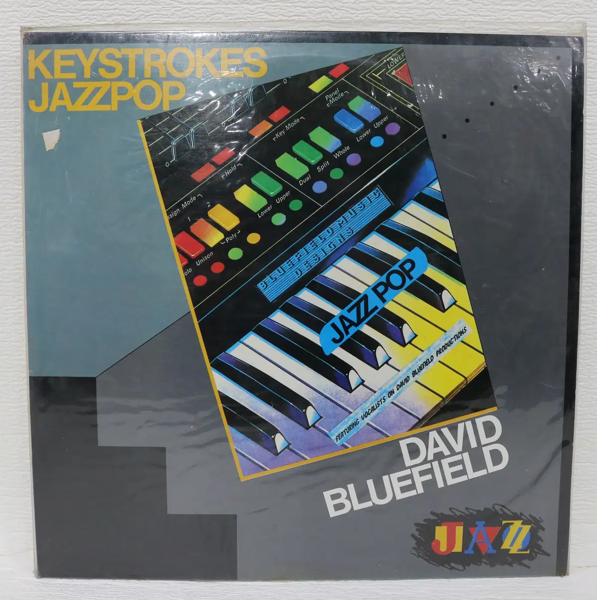[NO.6220] (미개봉) DAVID BLUEFIELD (KEYSTROKES JAZZ POP) LP음반