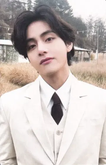 BTS Me,Myself,and V 'Veautiful' V Special 8 Photo-Folio A