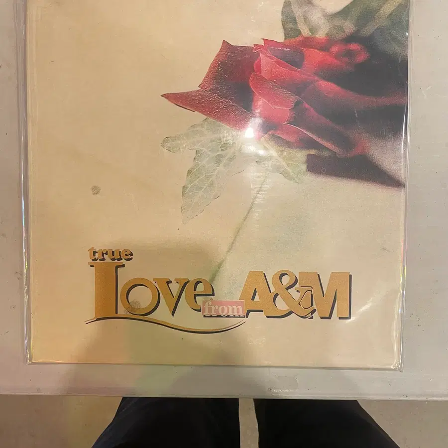 올리비아뉴튼존/로드스튜어트등 1990년대 희귀판LP / 개별가격