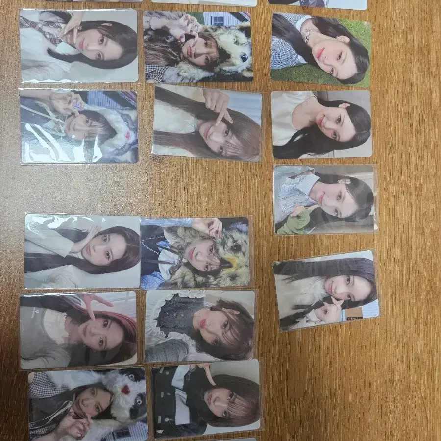 리센느 앨범 포카 교환