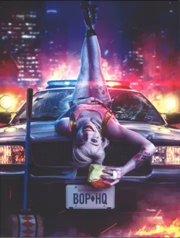 워너 브라더스 서양 영화 팜플렛 DC 코믹/DCEU 할리 퀸의 화려한 각성 BIRDS OF PREY 2020년