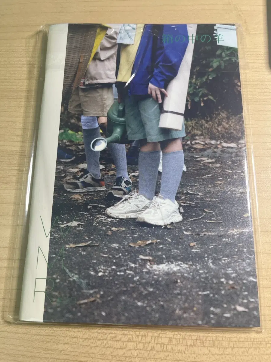 상자속의 양 아트하우스 진 책자