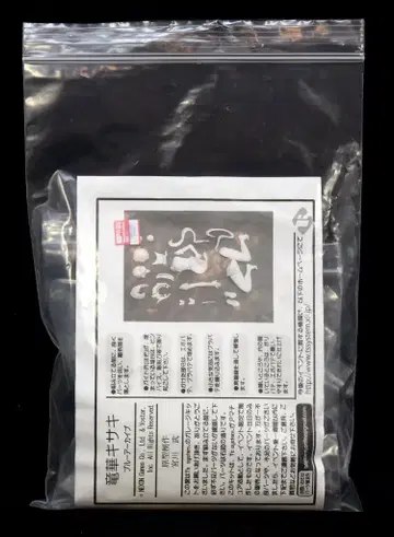 T's system 레진 캐스트 키트 오리지널 미야가와 타케 류카 키사키