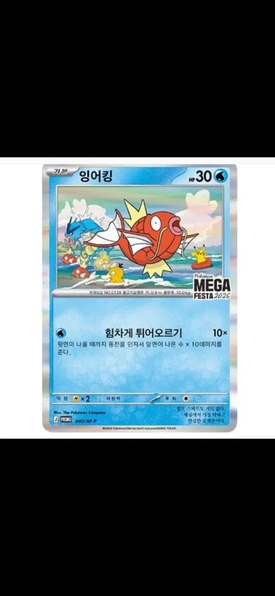 미개봉 포켓몬 프로모 카드 잉어킹