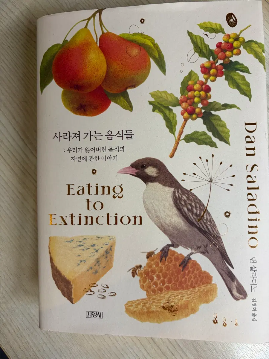 댄 샐러디노 사라져 가는 음식들