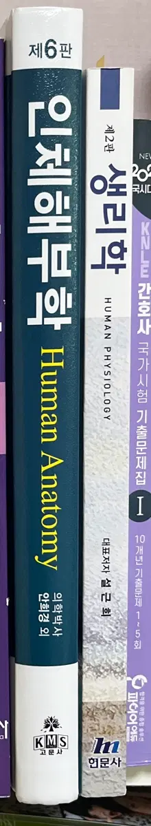 간호학과 교재 해부학