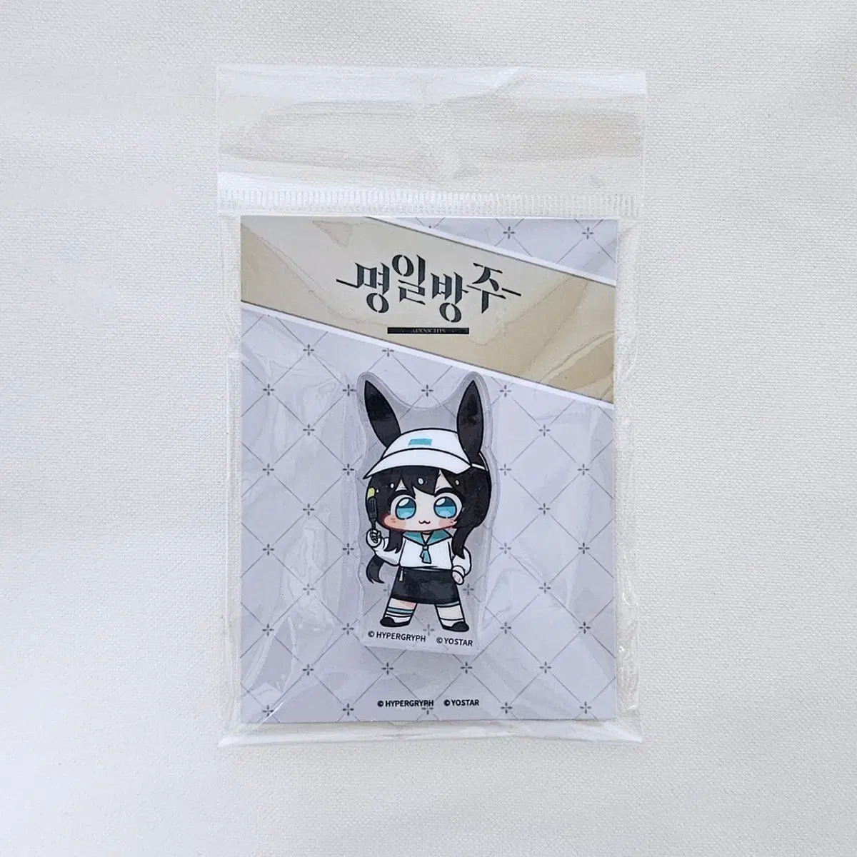 애니플러스 아미야 아크릴 코롯토