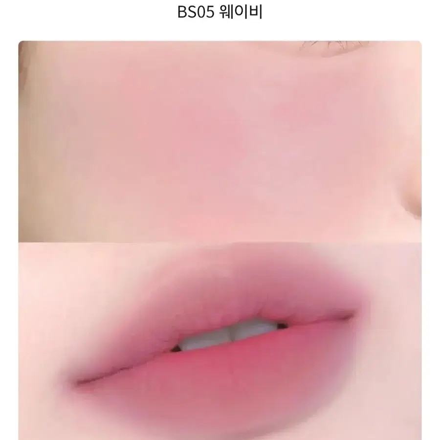 퓌 립앤치크 블러리 푸딩팟 BS05 웨이비 블러셔 치크 틴트 립스틱 봄웜 여쿨 갈웜 겨쿨 뮤트 라이트 브라이트 클리어 트루 딥 페일