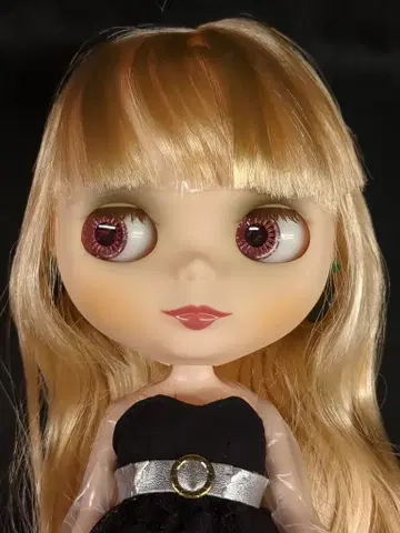 타카라토미 네오 브라이스 아리 가브리엘