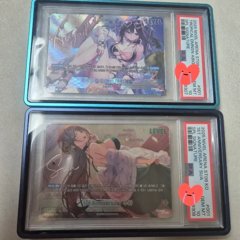 니벨아레나 이터널리턴 아비게일,수아 SPL PSA10 연변