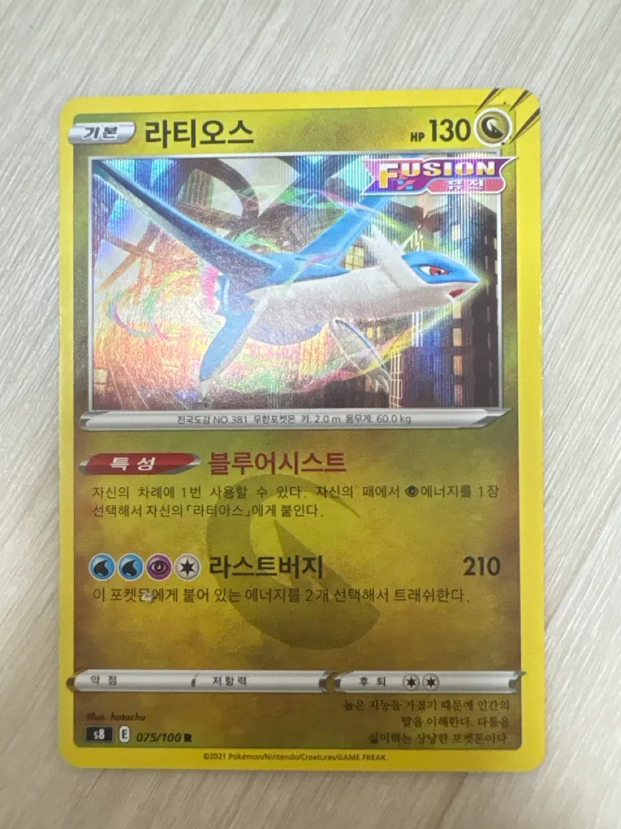 포켓몬 카드