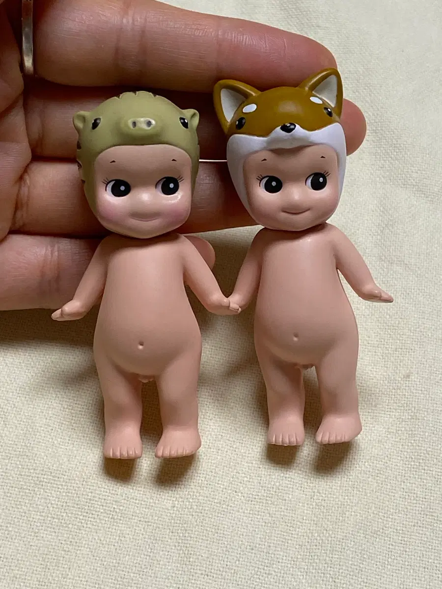 소니엔젤 애니멀 2종 (멧돼지, 시바이누)