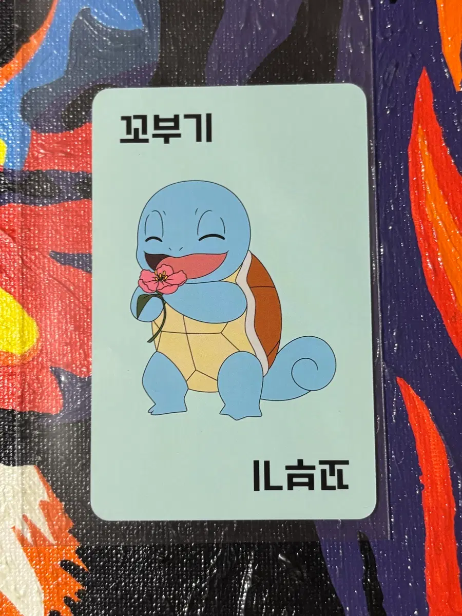 포켓몬스터 꼬부기 포켓몬 카드 인테리어 소품 꾸미기용 포장용