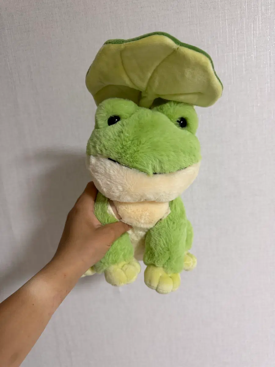 연못 개구리 인형