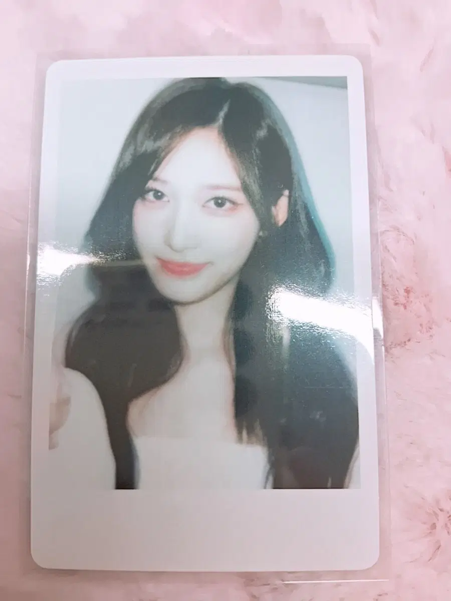 아이브 이서포카 판매