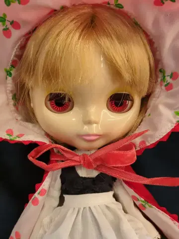 타카라 네오 브라이스 블랙 베리 부시