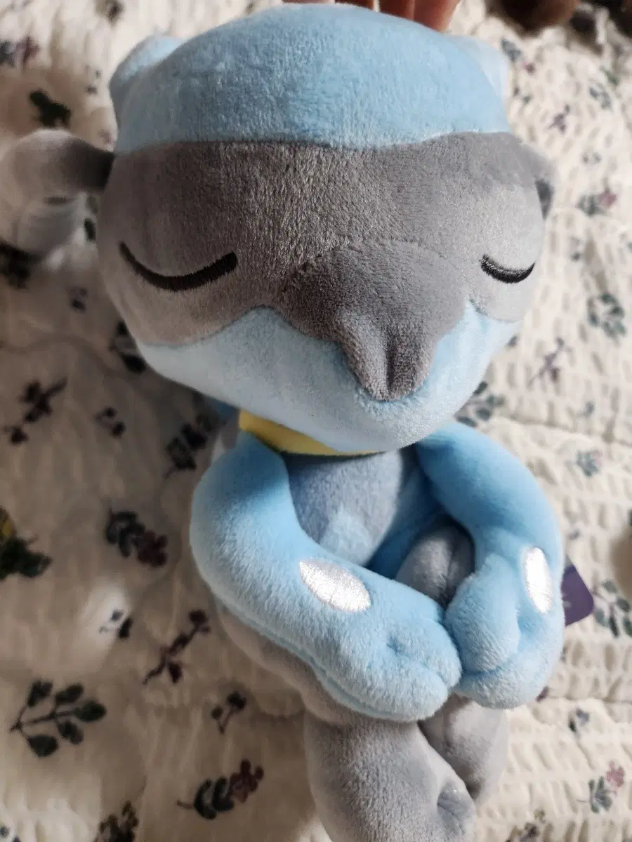 포켓몬스터 스야스야 리오르 인형