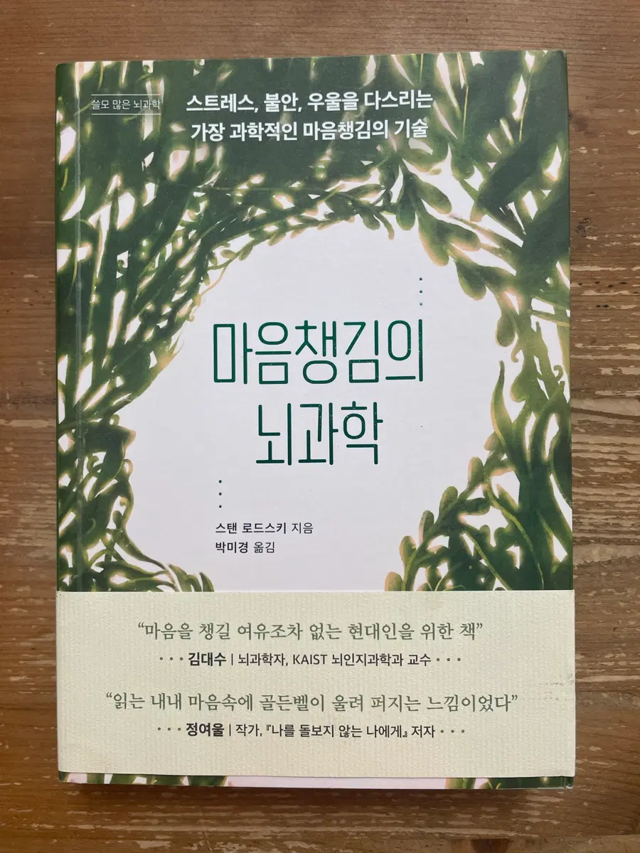 마음챙김의 뇌과학 - 스탠 로드스키