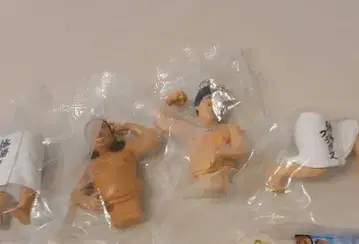 체격 브라더스 아키야마 히라코 캡슐 토이 피규어 가챠