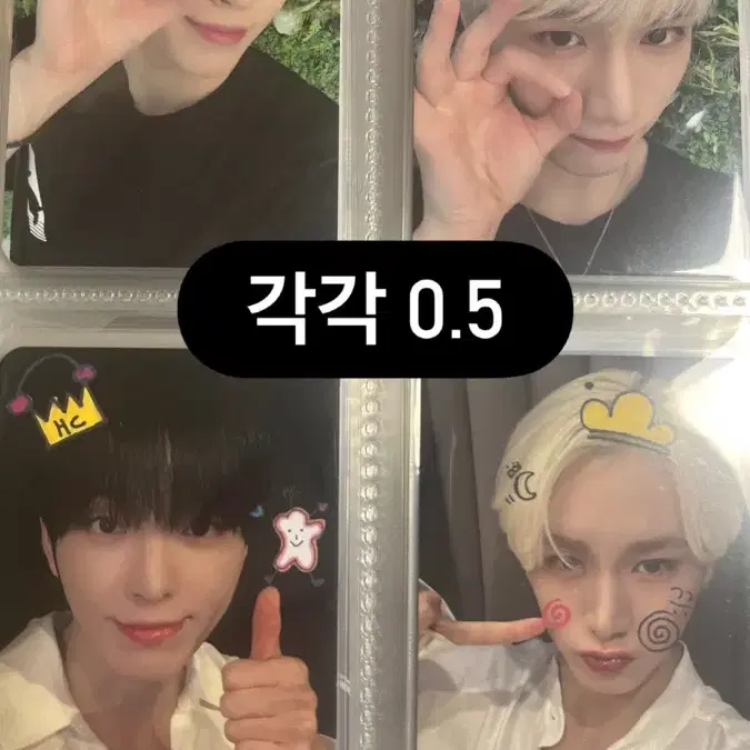 다크비 포토카드 판매