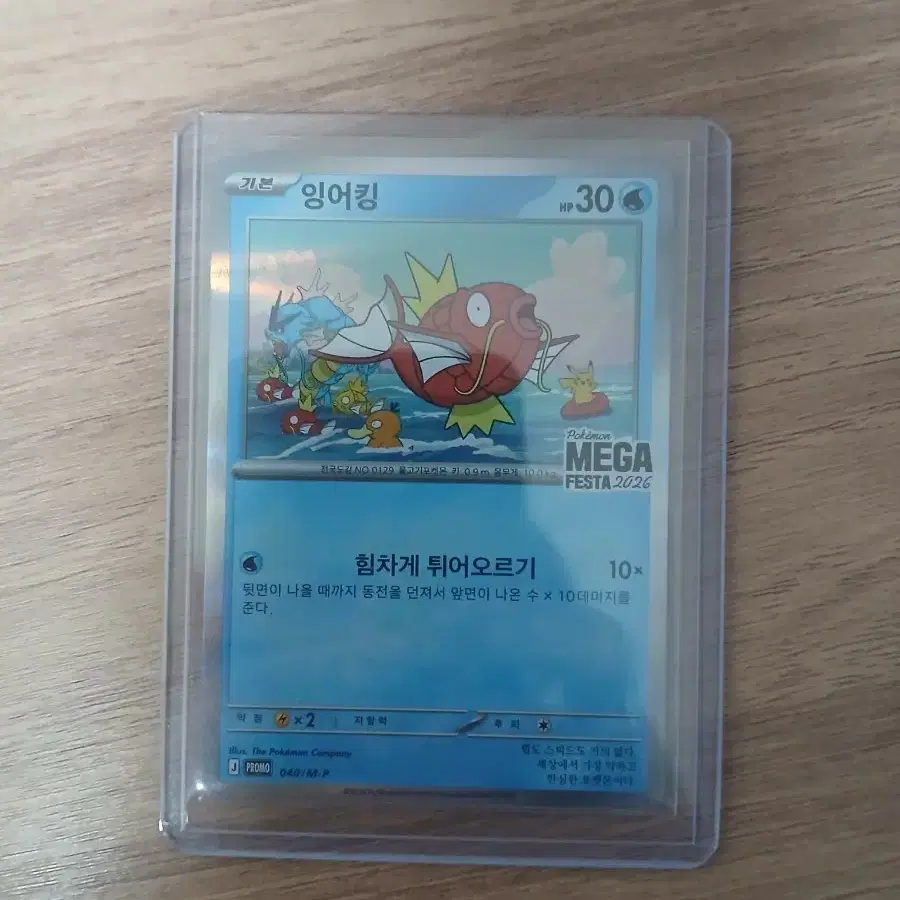 포켓몬카드 잉어킹 프로모