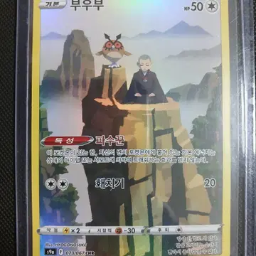 포켓몬 카드 부우부 chr